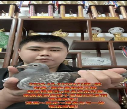 ���ٱ�Ѫ�����º،���˹������ֱ��X��Ů����
