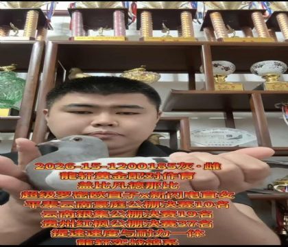 ���ٱ�Ѫ���Ǳȳ�������ŷֱ��X������ֱŮ����