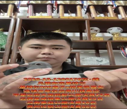 ������ʯ��ԣ����ǲ��ˡ�����ƥ��006��ֱ��X�������塱ֱŮ
