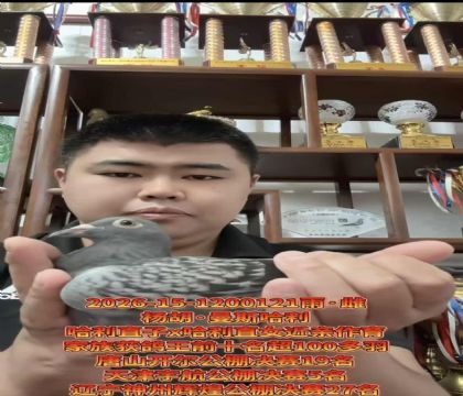 �����������������˹����ֱ��X����ֱŮ��������