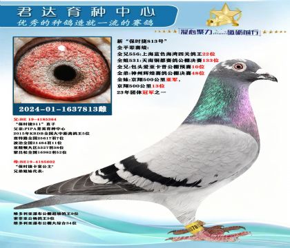 �𻷣��¡���ʱ��813�š�