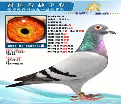 �𻷣��¡�����861�š�