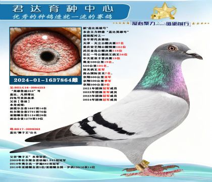 �𻷣��¡��Ǳ�Ӣ�ۺš�