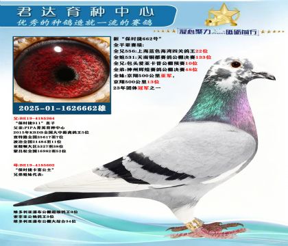�𻷣��¡���ʱ��662�š�