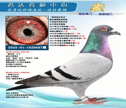 �𻷣�����³������š�