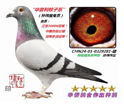 4��--����������ϵ-0329281��