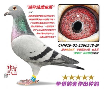 10��--��ħ��ϵCHN19-01-1290548-��
