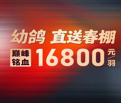 ������ҵ-�׸�ֱ�ʹ���-16800Ԫ