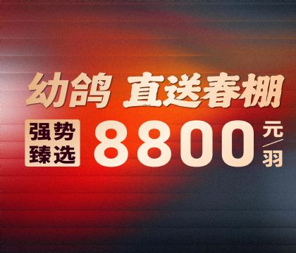 ������ҵ-�׸�ֱ�ʹ���-8800Ԫ