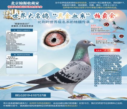 ʷ�ٷ�.��������ԭ��-Үɪ��Ѫ537