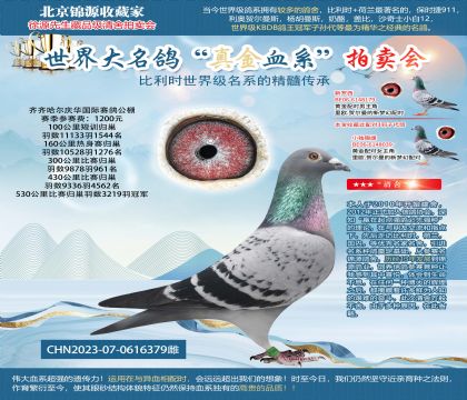 �컪���빫������ھ�