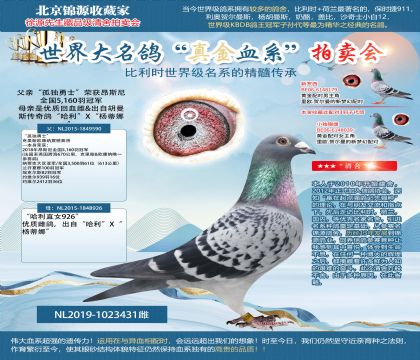 ��.����˹ԭ��-�¶���ʿX����ֱŮ926
