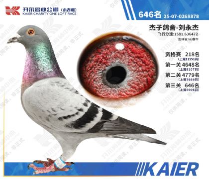 26�꿪��С�������646�� ��