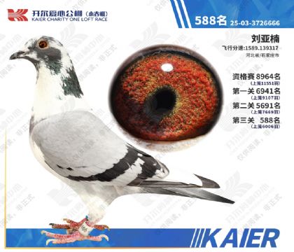 26�꿪��С�������588�� ��