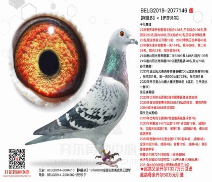 4ĸ��-2077146