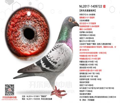 4����-1409722