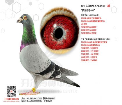 4����BELG2019-4213441ͼ