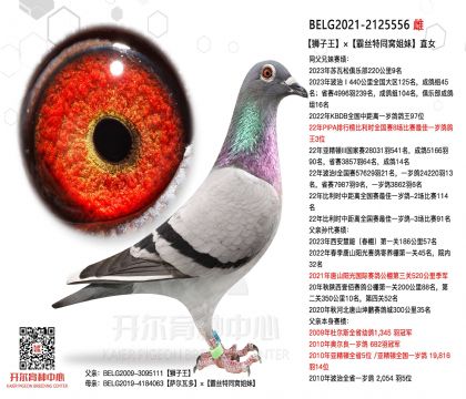 5ĸ��2125556