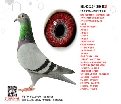 5ĸ��BELG2020-4063618