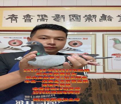 端午福利!所向无敌直孙女!顶级金母