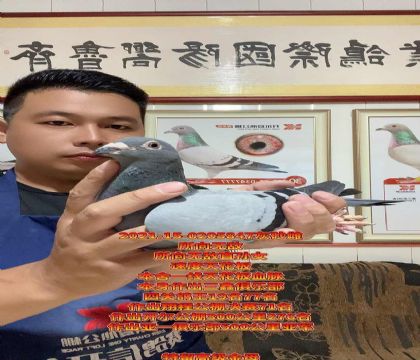 端午福利!所向无敌直孙女!完美金母
