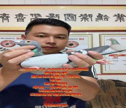 墨菲定律直子x直女!提速!高级种雄