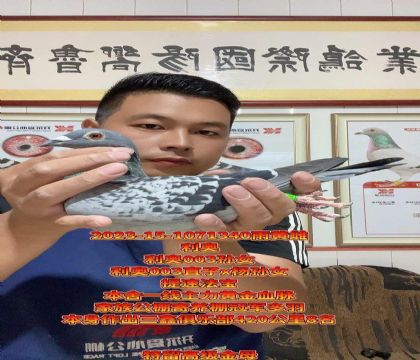 提速法宝!利奥003直子x利奥杨孙女