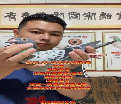 提速取款机!利奥麻鹰高辈分回血完美金母