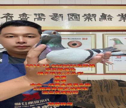端午福利!吉尔特海伦帽子戏法x大头彩