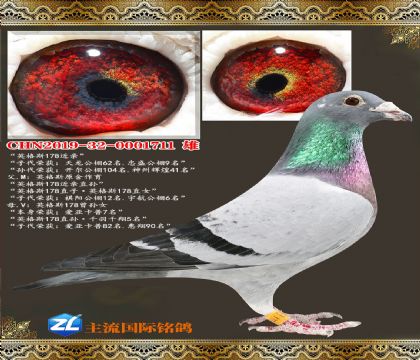 Ӣ��˹178����