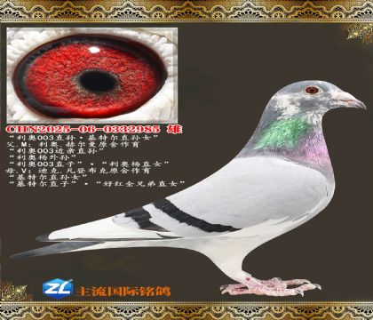 ����003����ض���Ů