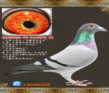 �ܽ�ͷֱ������������