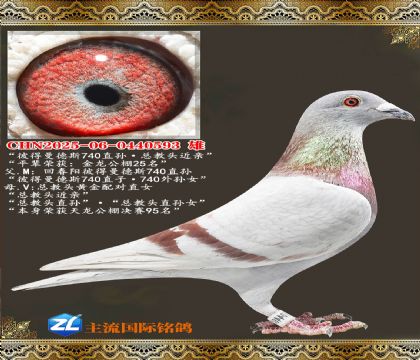 �˵�����˹740ֱ��ܽ�ͷ����