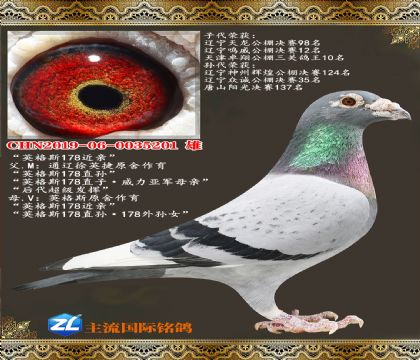 Ӣ��˹178����