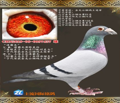 �ٰ���ӥ��ֱ���������Ů