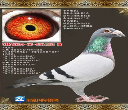 �ٰ���17���ֱ��ٰ����¶����ھ�ֱŮ
