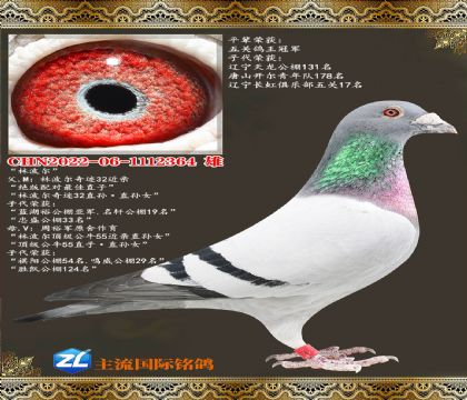�ֲ�������2364