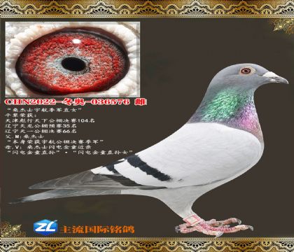 ɣ��ʿ�����ֱŮ