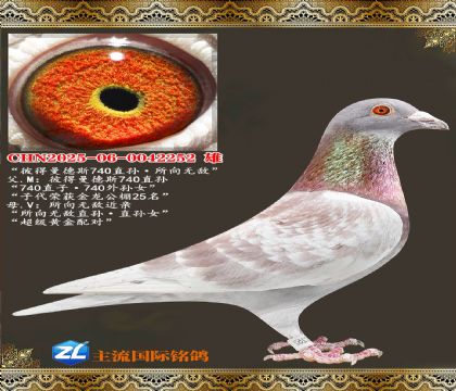�˵�����˹740������޵�