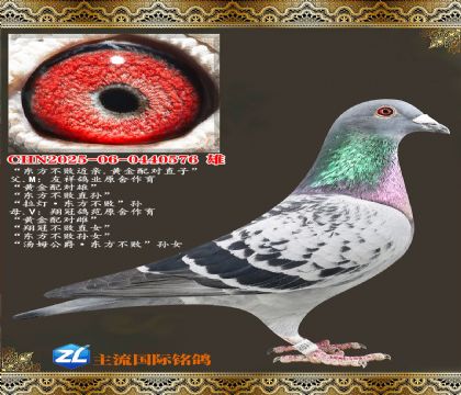 �����������ڲ���ֱŮ