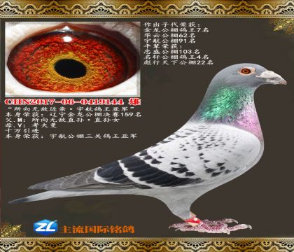 �����޵н�������159��