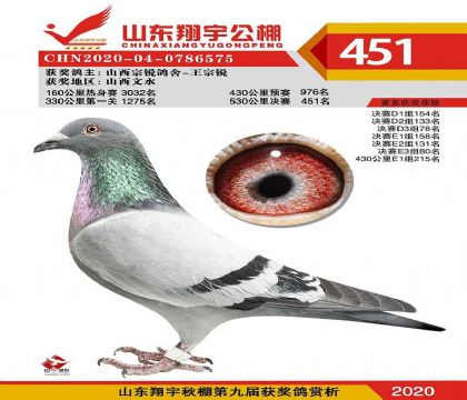 山东翔宇赛鸽公棚530公里决赛451名 雄