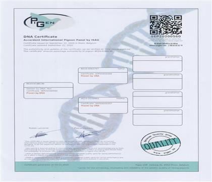 DNA