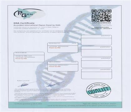 DNA