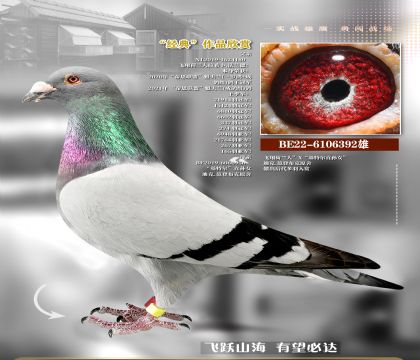 ���ǲ��˻��ض������Ѫ���392