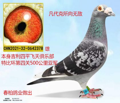 �رȻ��Ǿ������������޵�