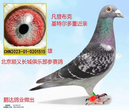 ���ǲ��˻��ض����ؽ���