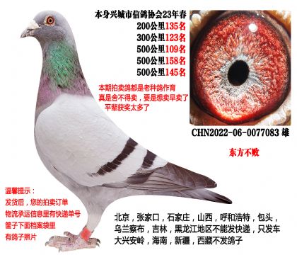 23�괺���ظ�����λ���������ܣ�