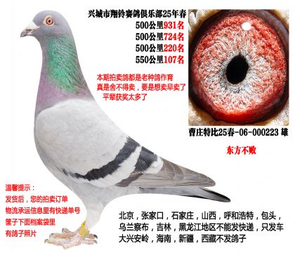 25�괺4��500����ɼ��루�������ܣ�