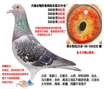 25�괺4��500����ɼ��루��������x������
